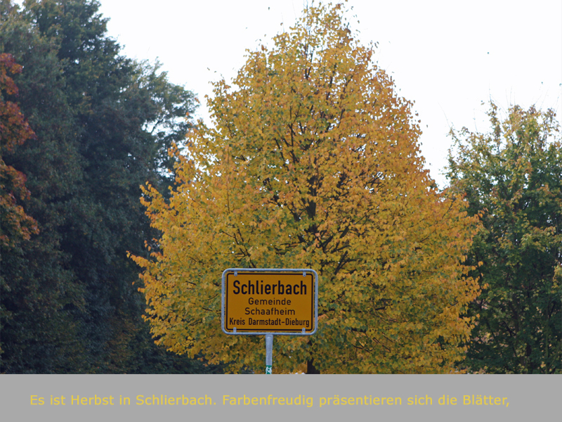 Es ist Herbst in Schlierbach